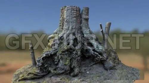 PBR Game 3D Model – Chestnut tree (obj, tex)