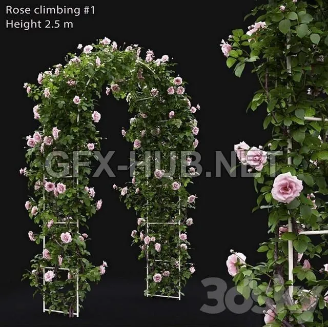 FURNITURE 3D MODELS – Climbing Rose # 1