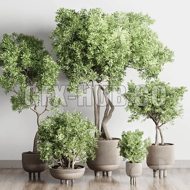 FURNITURE 3D MODELS – Collection Indoor Outdoor Plant 118