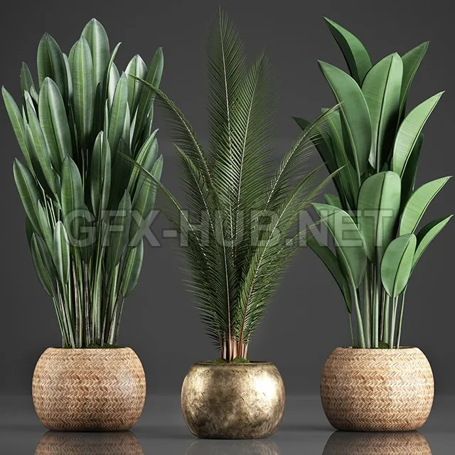 FURNITURE 3D MODELS – Collection of 360 Plants