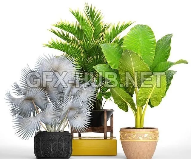 FURNITURE 3D MODELS – Collection of plants 91