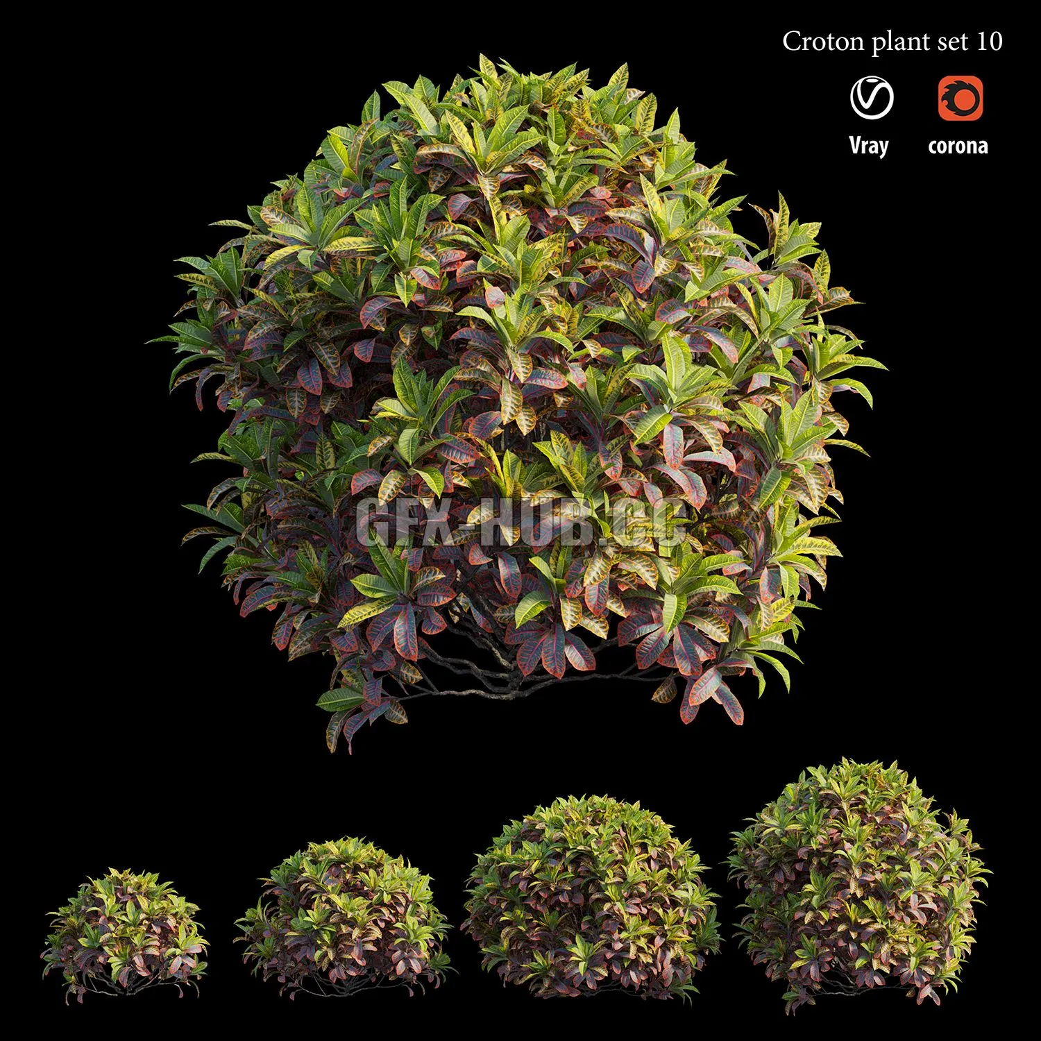 FURNITURE 3D MODELS – Croton Plant Set 10