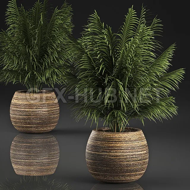FURNITURE 3D MODELS – Decorative Palm In A Basket