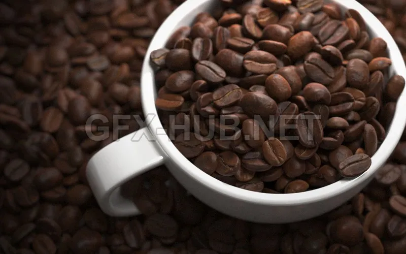 PBR Game 3D Model – Coffee beans