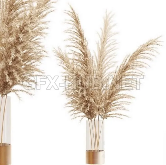 FURNITURE 3D MODELS – Dried flower pampas grass in glass gold vase