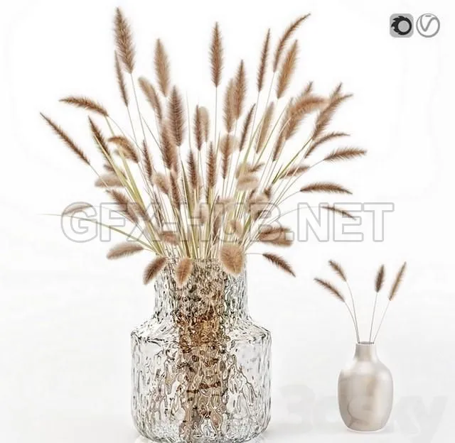 FURNITURE 3D MODELS – Dry flowers in glass vase 2