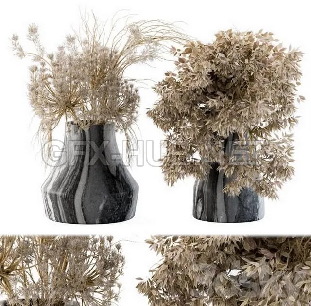 FURNITURE 3D MODELS – Dry plants 14