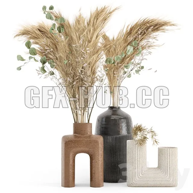 FURNITURE 3D MODELS – Dry Plants 19 Dried Plantset Pampas with Concrete Vase