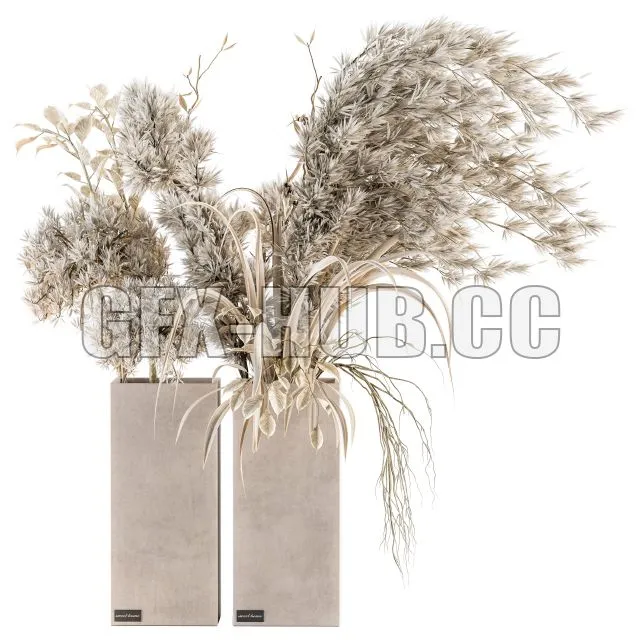 FURNITURE 3D MODELS – Dry Plants 39 Dried Plant Pampas