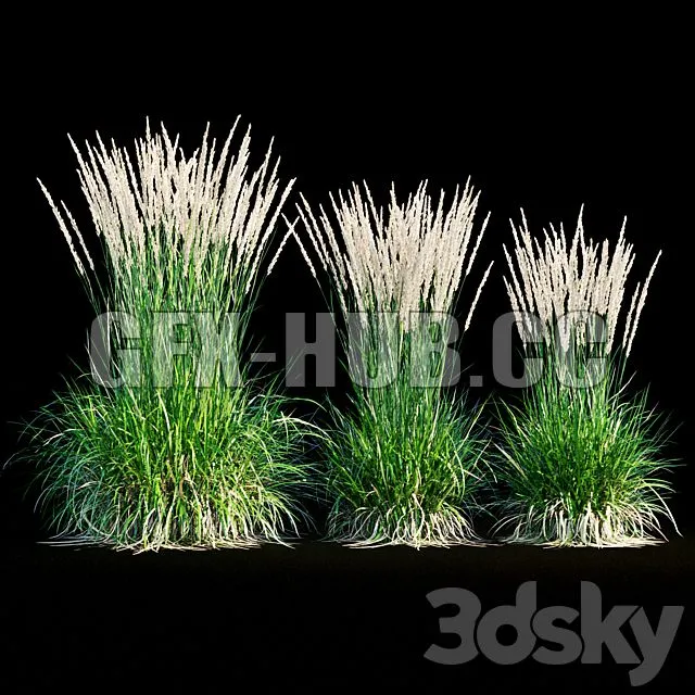 FURNITURE 3D MODELS – Feather Reed Grass