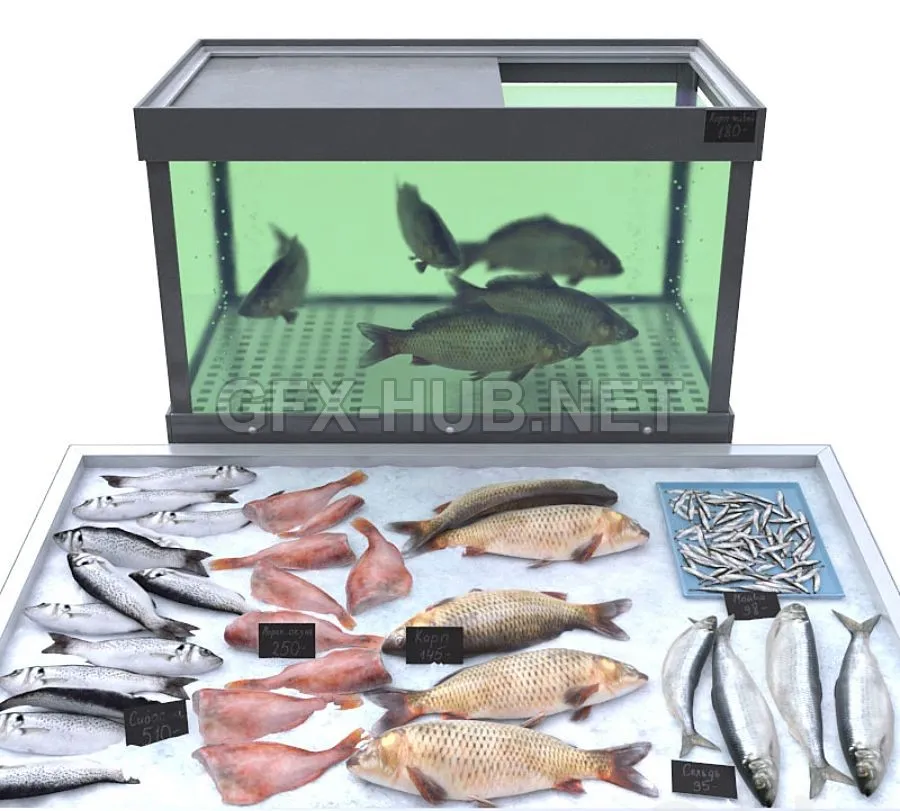 FURNITURE 3D MODELS – Fish store