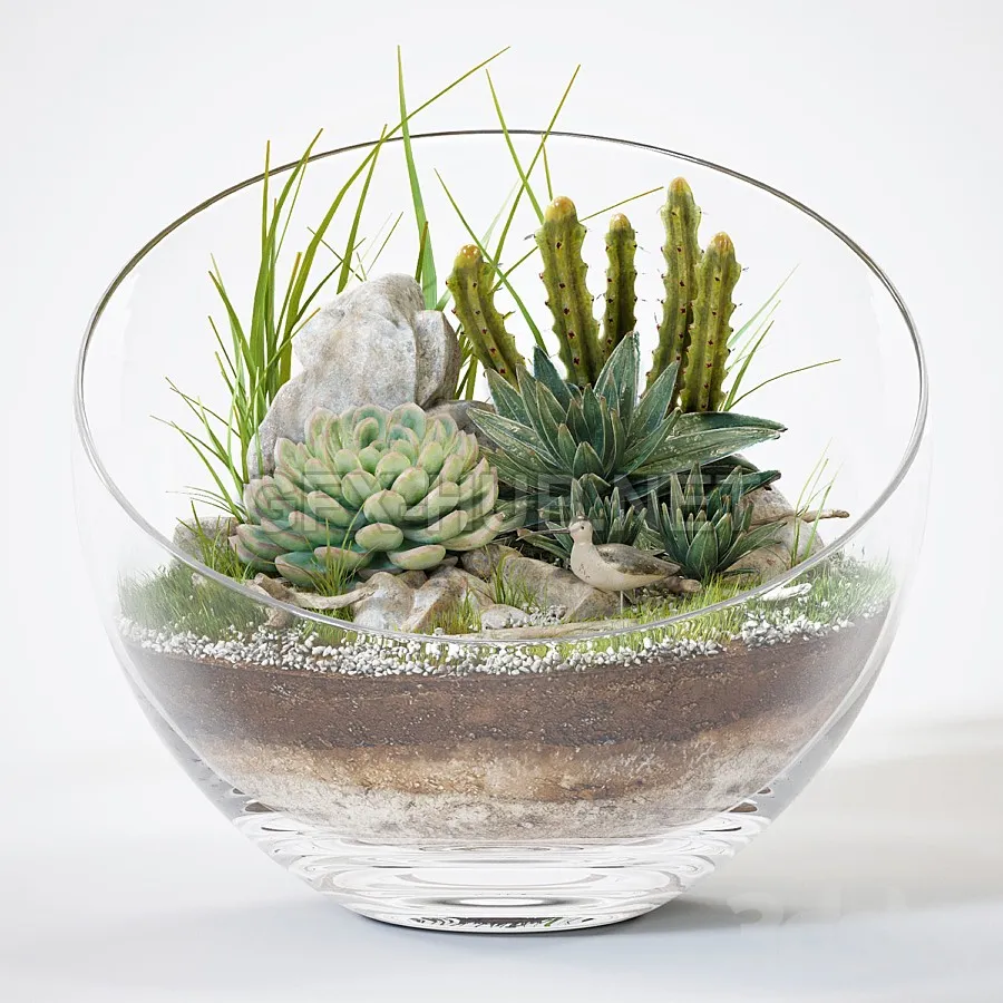 FURNITURE 3D MODELS – Florarium 15