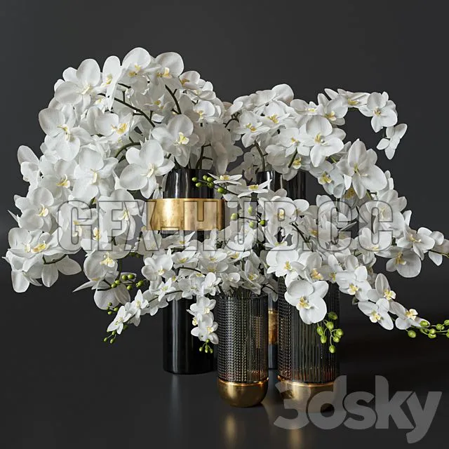 FURNITURE 3D MODELS – Flower Set 009 Orchids