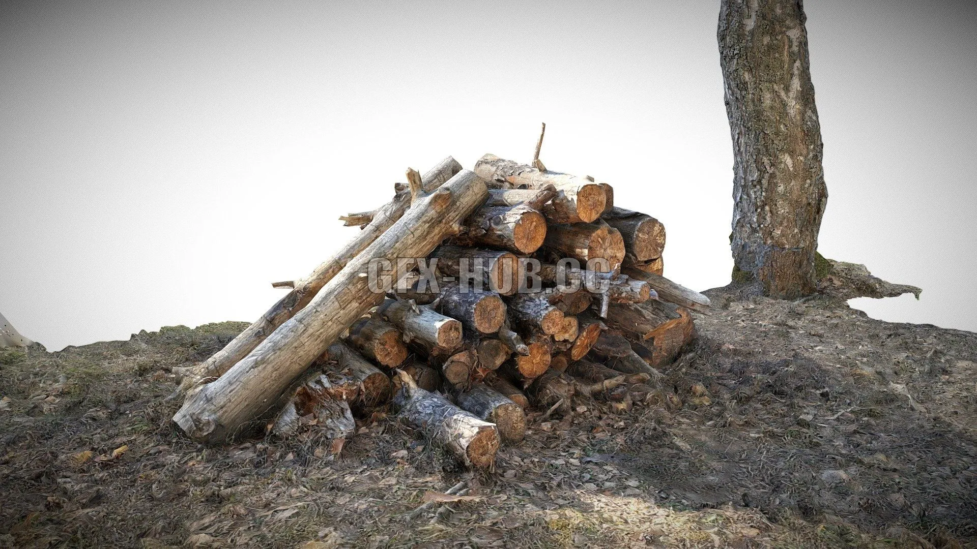 PBR Game 3D Model – A stack of sawn logs Scan