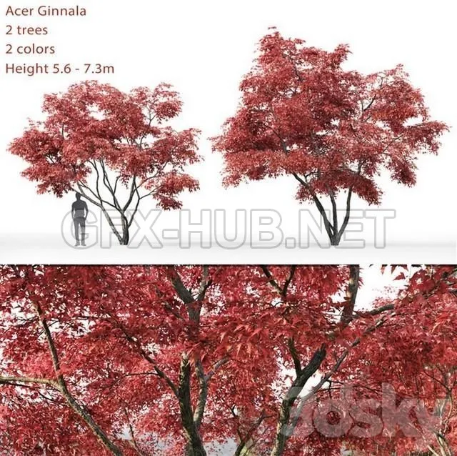 3DSMAX - FREE 3DS MAX MODELS