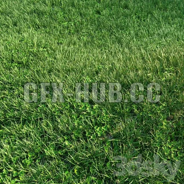 FURNITURE 3D MODELS – Grass 01