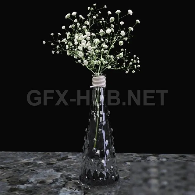 FURNITURE 3D MODELS – Gypsophila branch in a glass vase