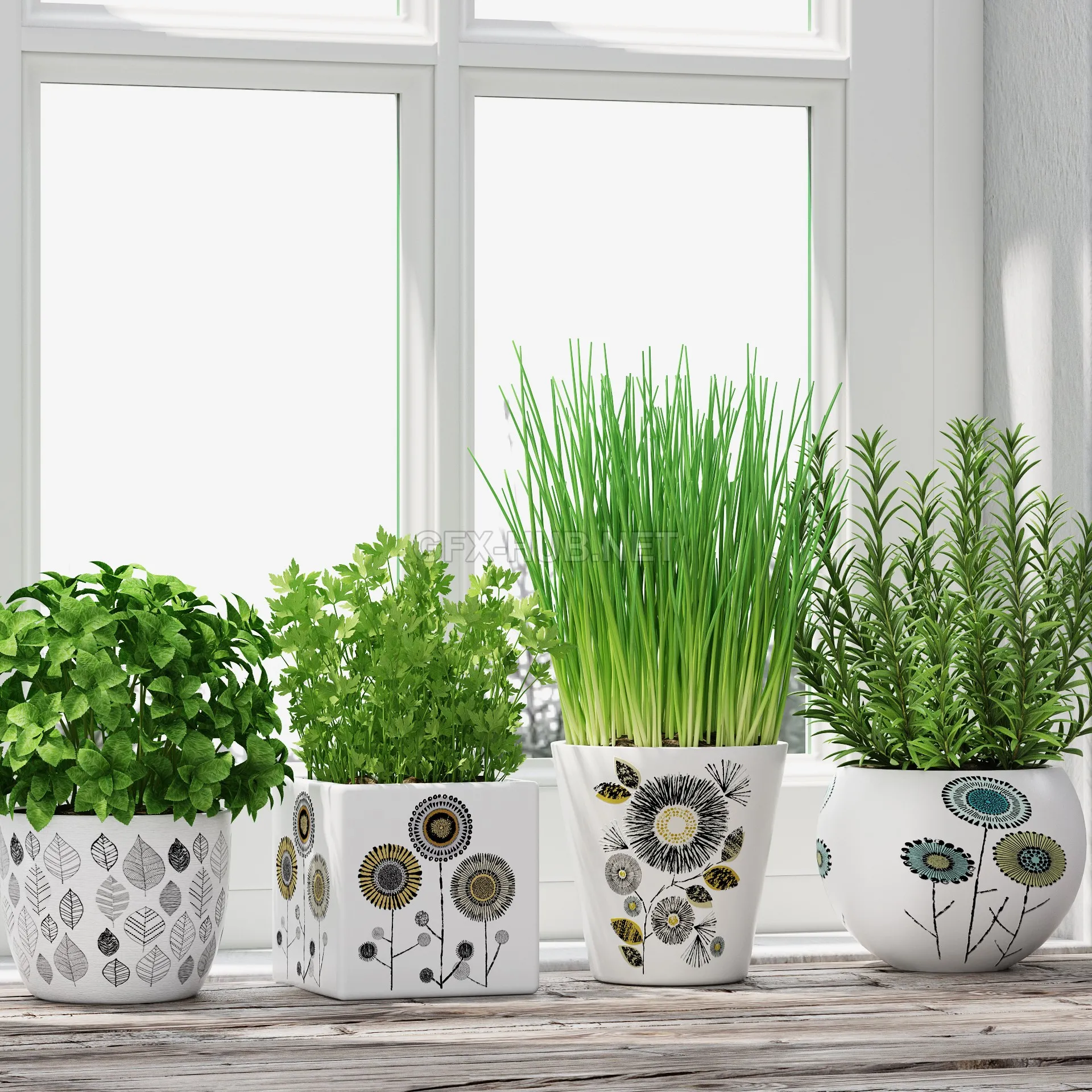 FURNITURE 3D MODELS – Herbs in pots