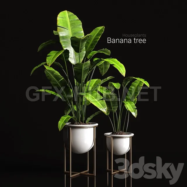 FURNITURE 3D MODELS – Houseplants Banana Tree