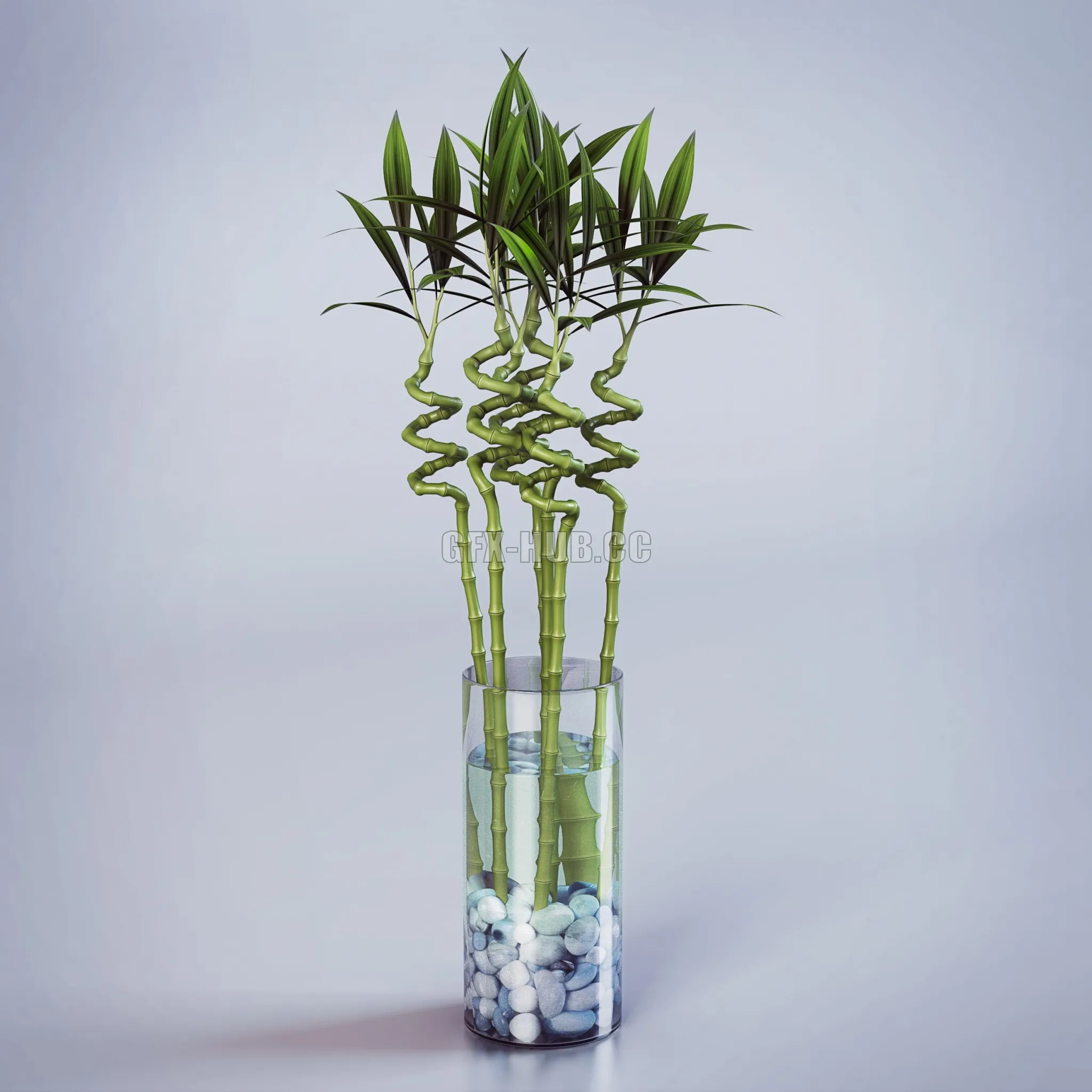 FURNITURE 3D MODELS – Indoor bamboo plant