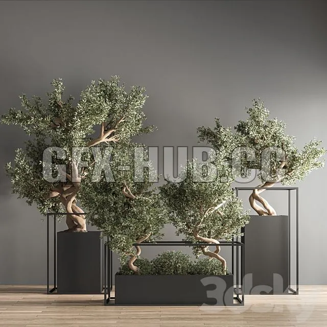 FURNITURE 3D MODELS – Indoor Plant Bonsai Set 24