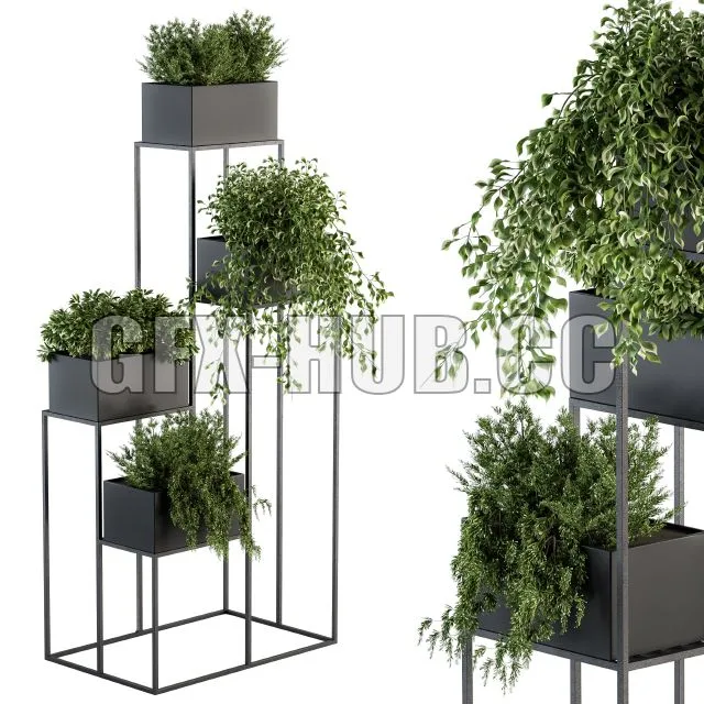 FURNITURE 3D MODELS – Indoor Plant Set 100 Black Stand