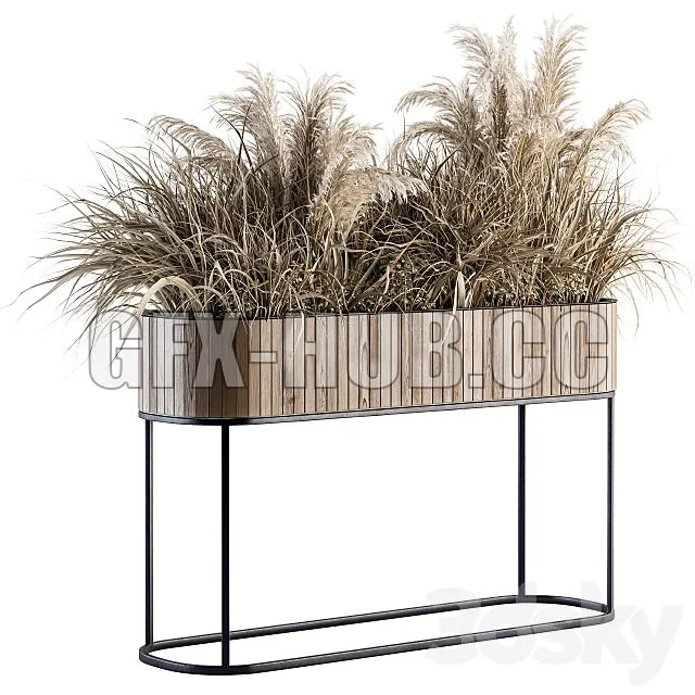 FURNITURE 3D MODELS – Indoor Plant Set 122 Dried Plants in Wood Stand