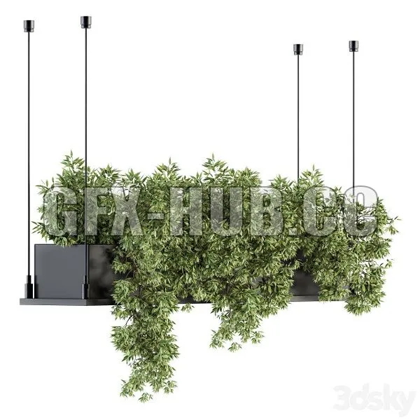 FURNITURE 3D MODELS – Indoor Plant Set 217 Hanging Plant Box