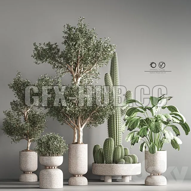 FURNITURE 3D MODELS – Indoor Plant Set 26