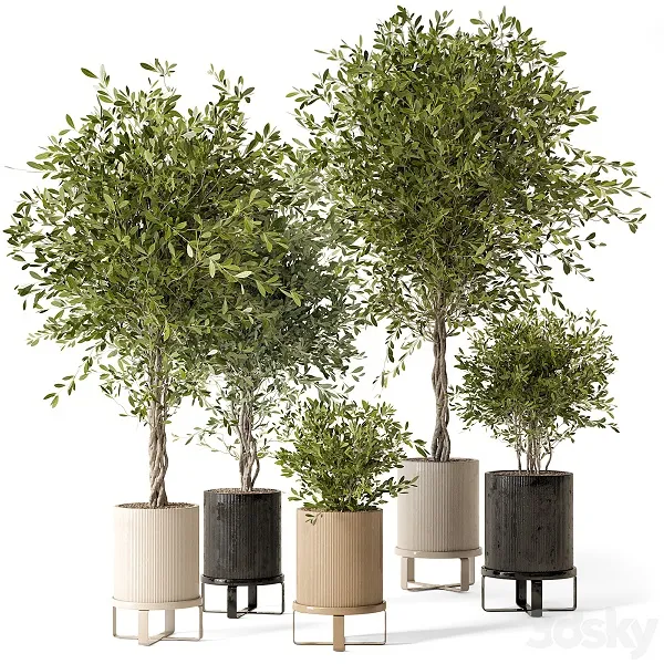 FURNITURE 3D MODELS – Indoor Plants in Ferm Living Bau Pot Large Set 354