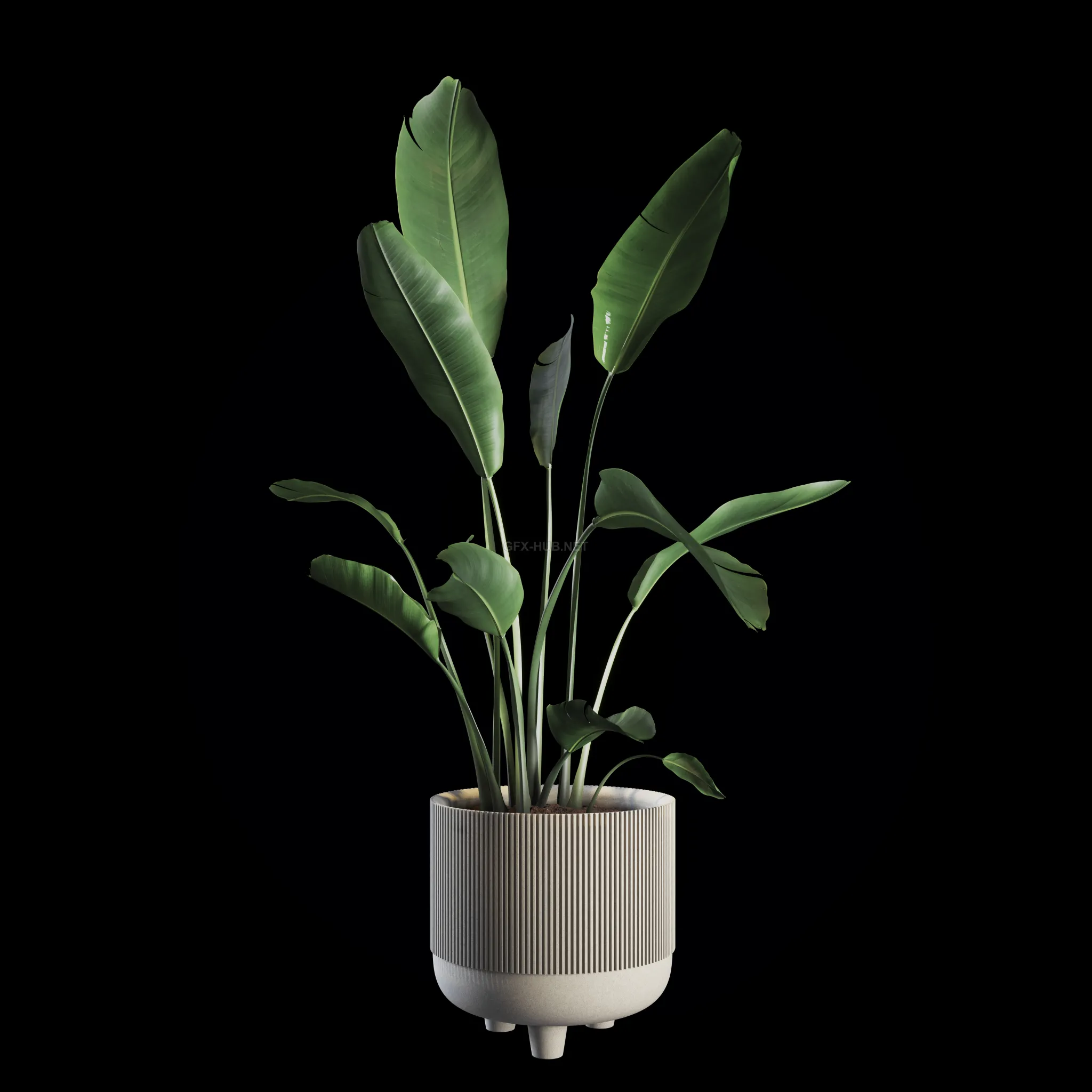 FURNITURE 3D MODELS – Indoor Plants Set 04