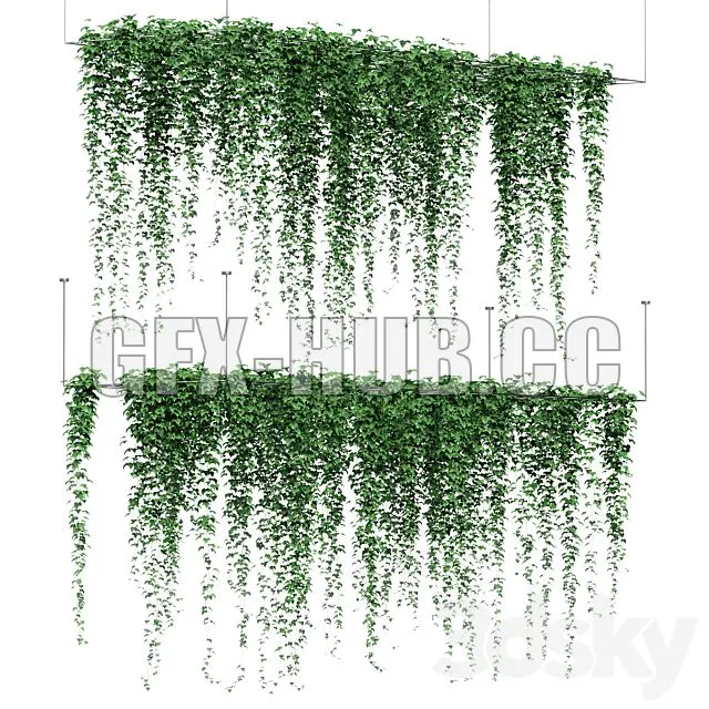 FURNITURE 3D MODELS – Ivy Hanging from the Ceiling 2 Models