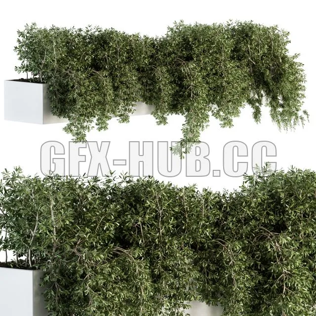 FURNITURE 3D MODELS – Ivy Plants in Box Outdoor Set 80