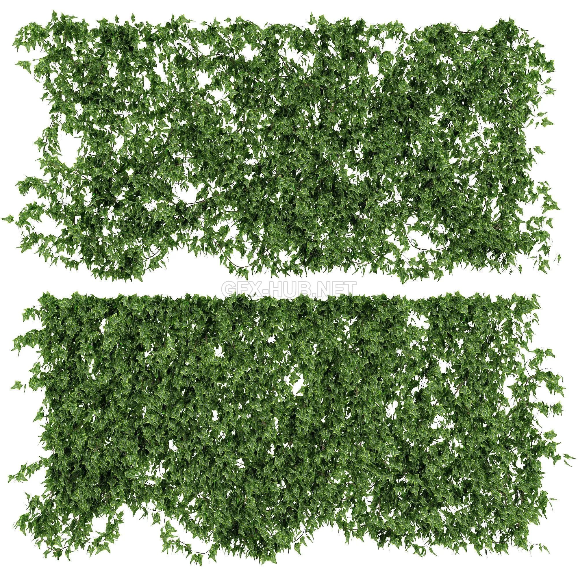 FURNITURE 3D MODELS – Ivy walls 2