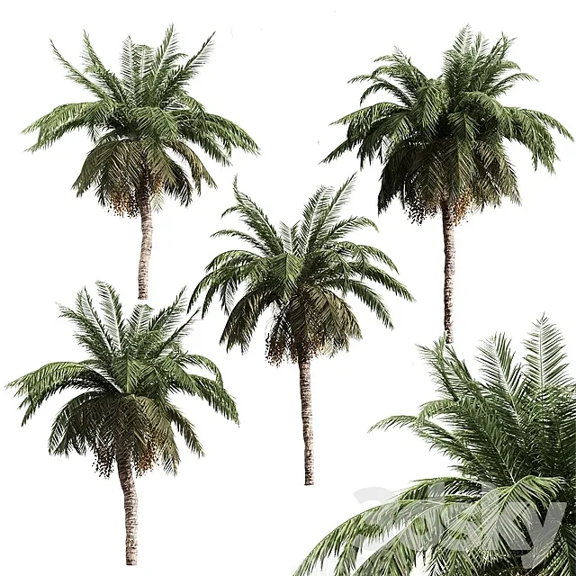 4 palms 3ds Max