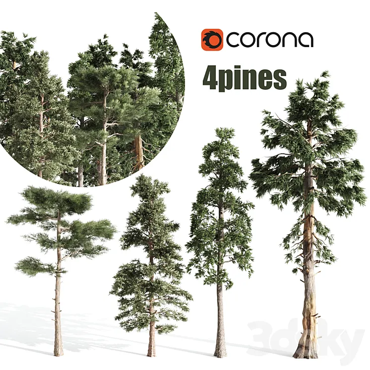 4 pines 3DS Max