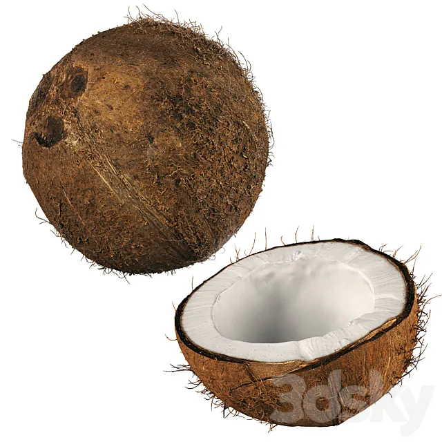 4k coconut 02 3DS Max Model