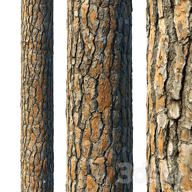 4k Pine Bark Material 03 3ds Max