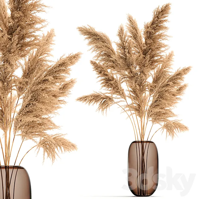 A beautiful lush bouquet of dried flowers in a vase with dry branches of pampas Cortaderia reed. 140. 3ds Max