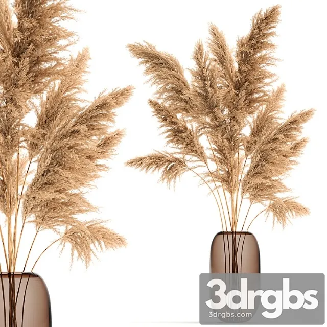 A beautiful lush bouquet of dried flowers in a vase with dry branches of pampas, cortaderia, reed. 140.