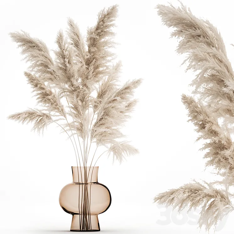 A beautiful lush bouquet of dried flowers in a vase with dry branches of pampas Cortaderia white reeds. 150. 3DS Max Model