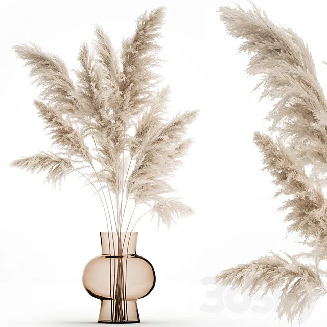 A beautiful lush bouquet of dried flowers in a vase with dry branches of pampas. Cortaderia. white reeds. 150. 3DSMax File