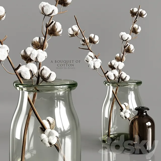 A bouquet of cotton 3dsMax Model