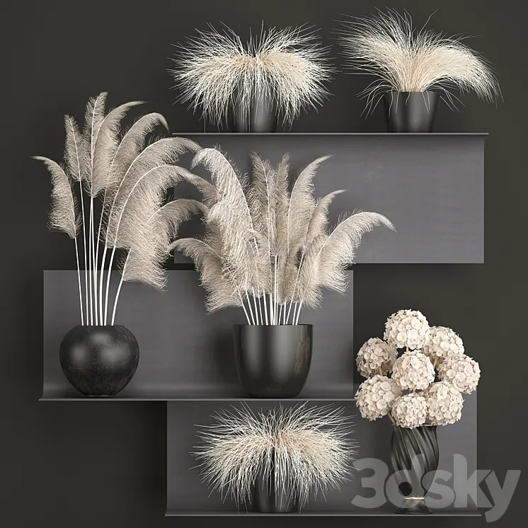 A bouquet of dried flowers 91. White Pampas grass branches vase reeds dried flowers dry decor black shelf loft metal 3DS Max