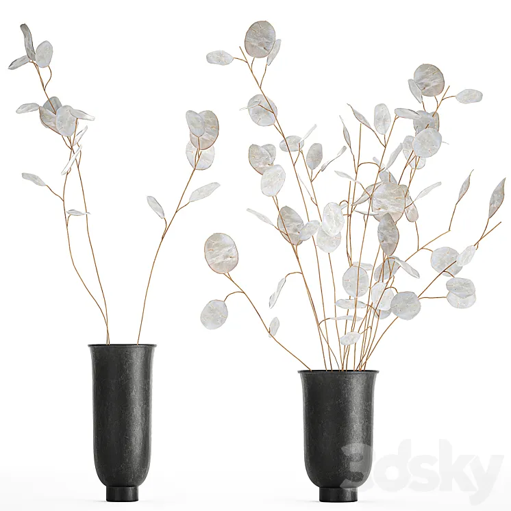 A bouquet of dried flowers in a black vase with branches of a dry Lunnik. 178. 3DS Max