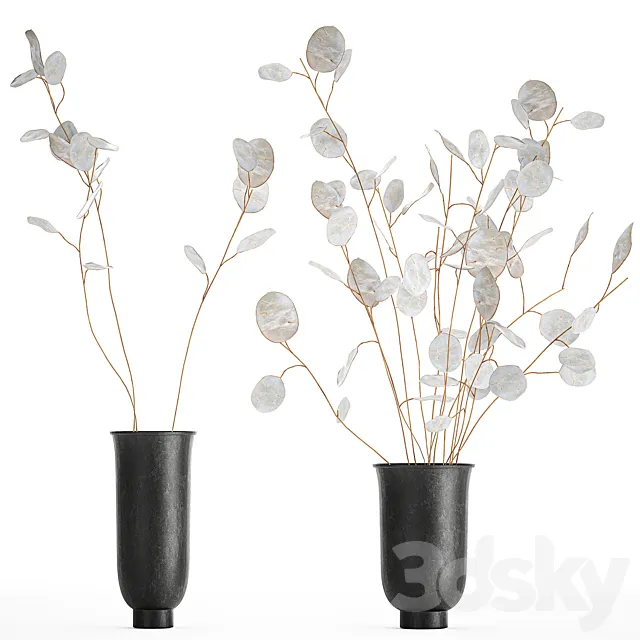 A bouquet of dried flowers in a black vase with branches of a dry Lunnik. 178. 3DSMax File