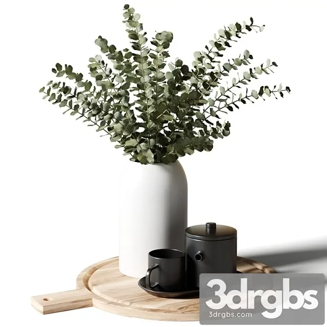 A bouquet of Eucalyptus in a White Vase 3dsmax Download