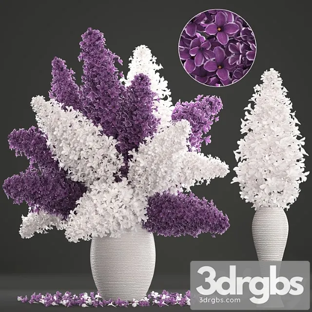 A bouquet of flowers 80. white lilac, vase, decor, table decoration, eco design, natural decor