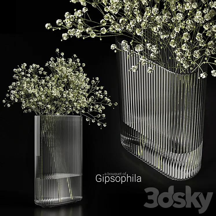 A bouquet of gypsophila 3DS Max