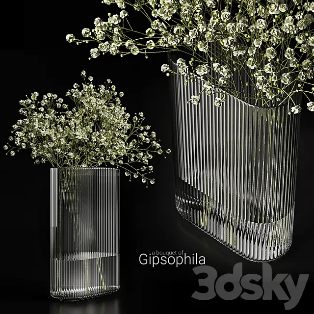 A bouquet of gypsophila 3dsMax Model